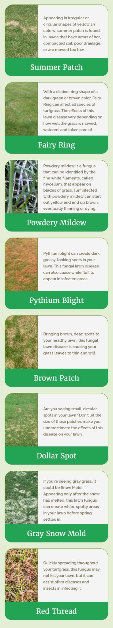 Lawn Disease Identification Chart: How to Identify Diseases in Your Grass